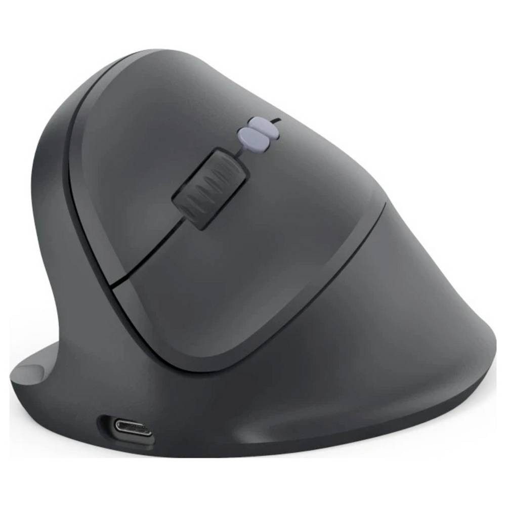 Hama 00173093 Mäuse (Ergonomisch)