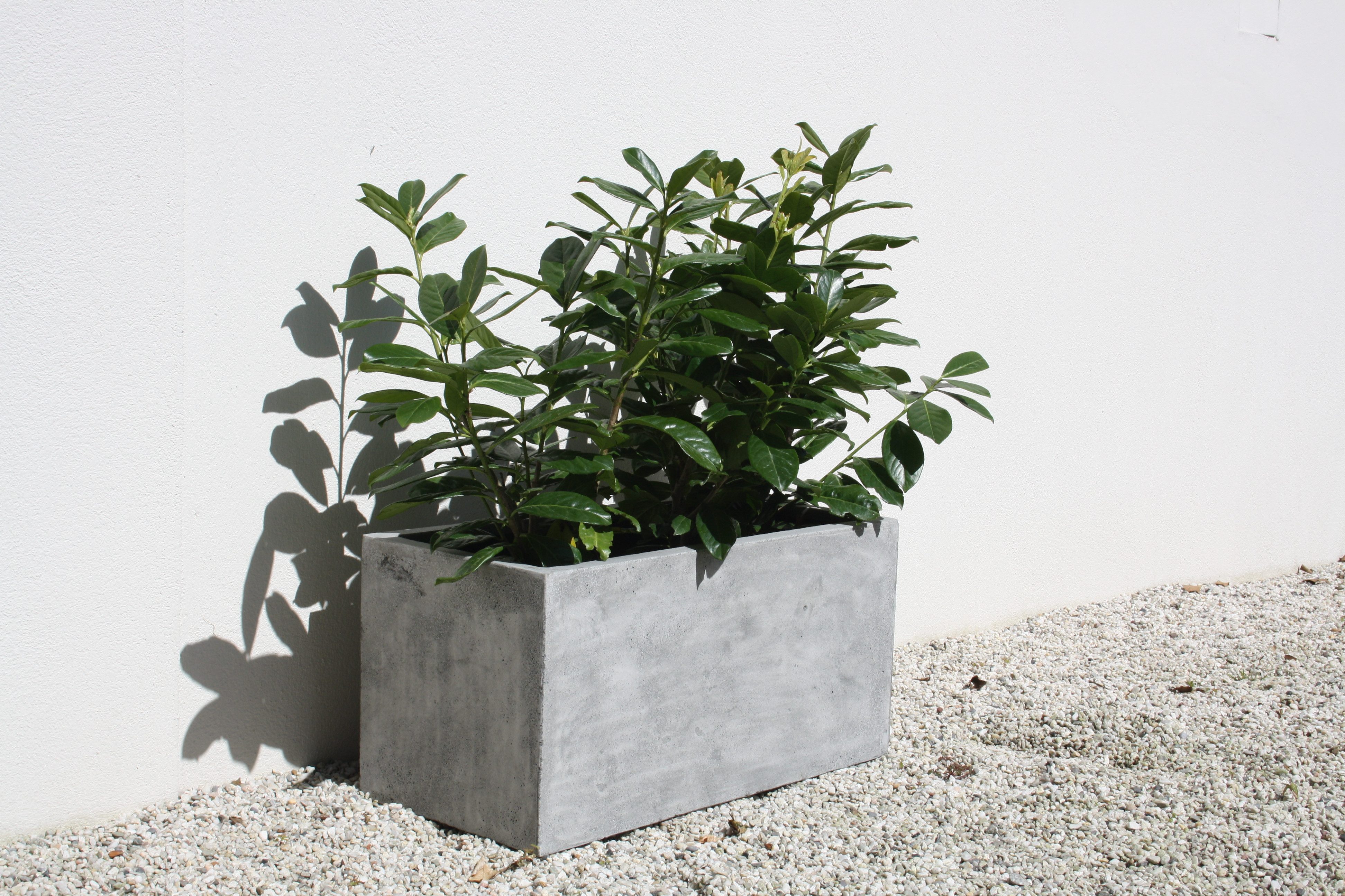 VIVANNO Pflanzkübel Fiberglas MAXI Kasten - Betongrau Beton-Design (1 St), 60x30x30 cm