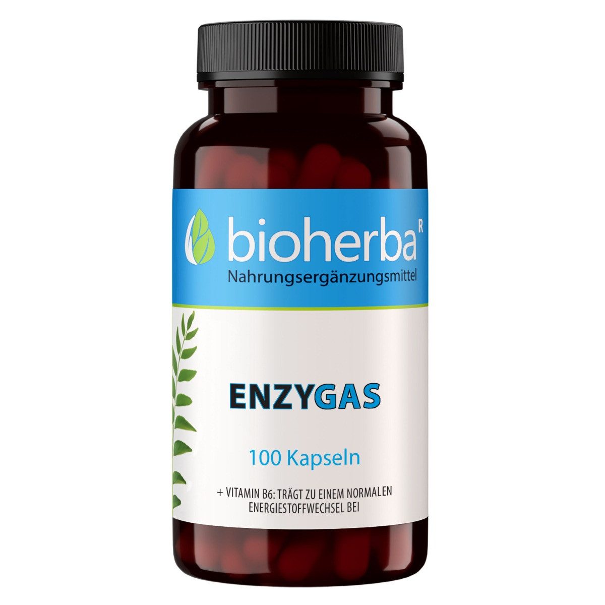 BIOHERBA R Bioherba Enzygas Kapseln 100 Stück Nahrungsergänzungsmittel, 1 er