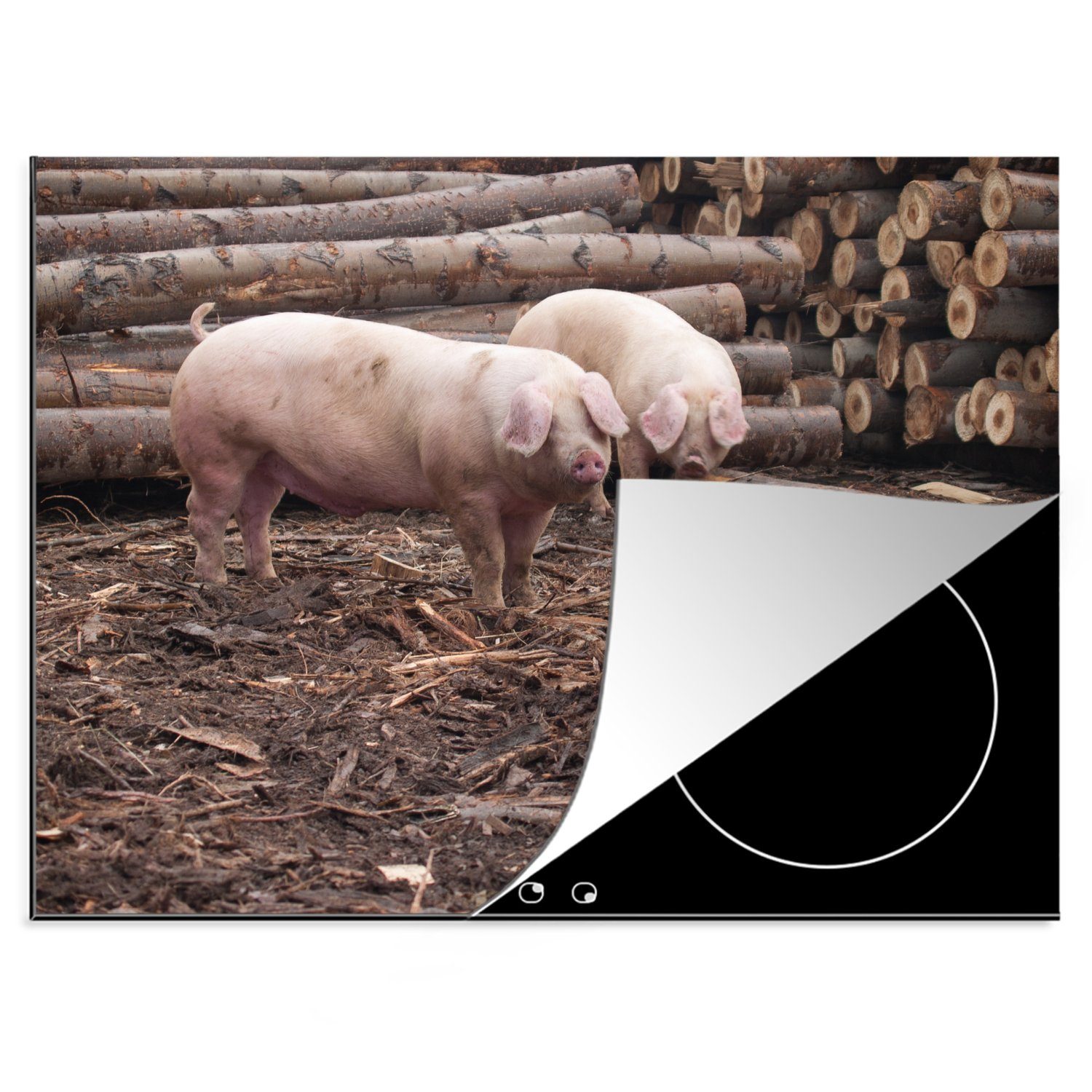 Schuhgeschäft MuchoWow Herdblende-/Abdeckplatte Schweine - Vinyl, - 70x52 Ceranfeldabdeckung Arbeitsfläche Baum, Holz Mobile tlg), nutzbar, (1 cm