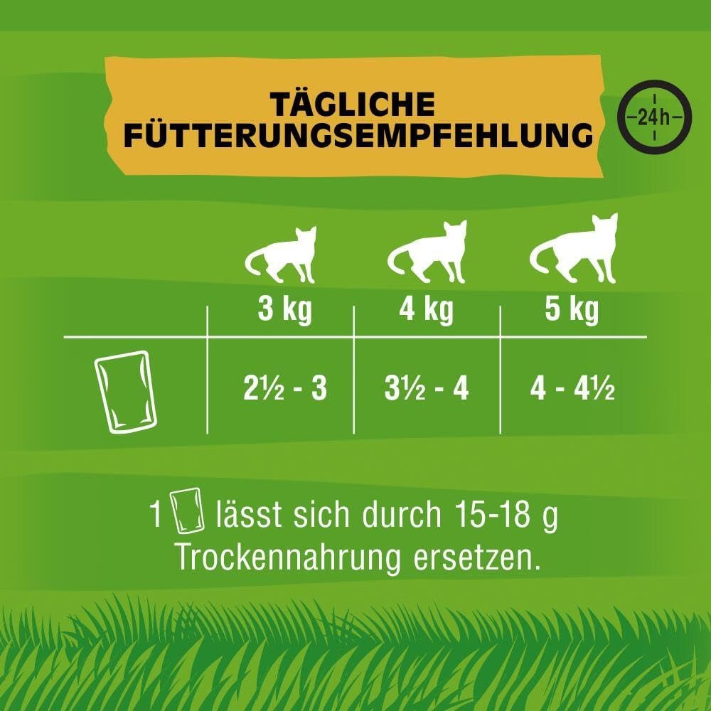 Kitekat KITEKAT™ Portionsbeutel Multipack Bunte Vielfalt in Sauce 4 x 12 x 85g, für: Katze