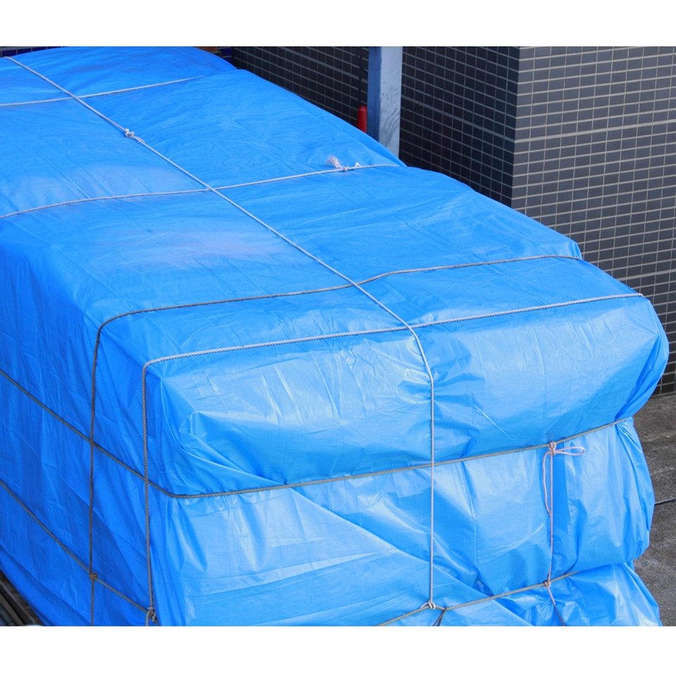 vidaXL Schutzplane Plane mit Ösen Blau 6 x 6 m 260 g / m² PE (1-St vidaXL Schutzplane Plane mit Ösen Blau 6 x 6 m 260 g / m² PE (1-St