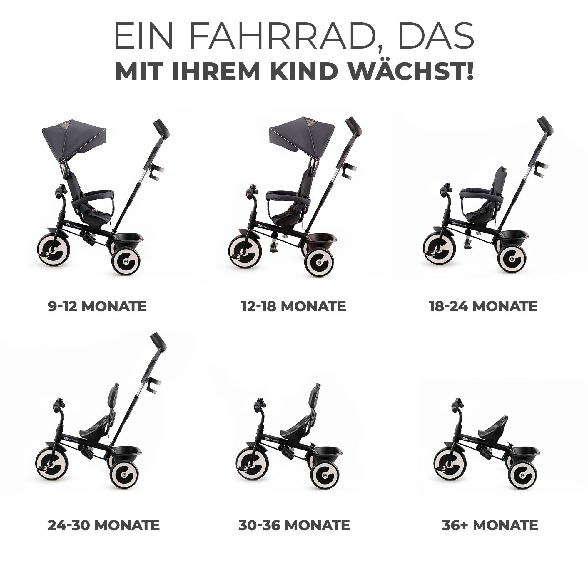 Kinderkraft Dreirad ASTON, mitwachsend günstig online kaufen