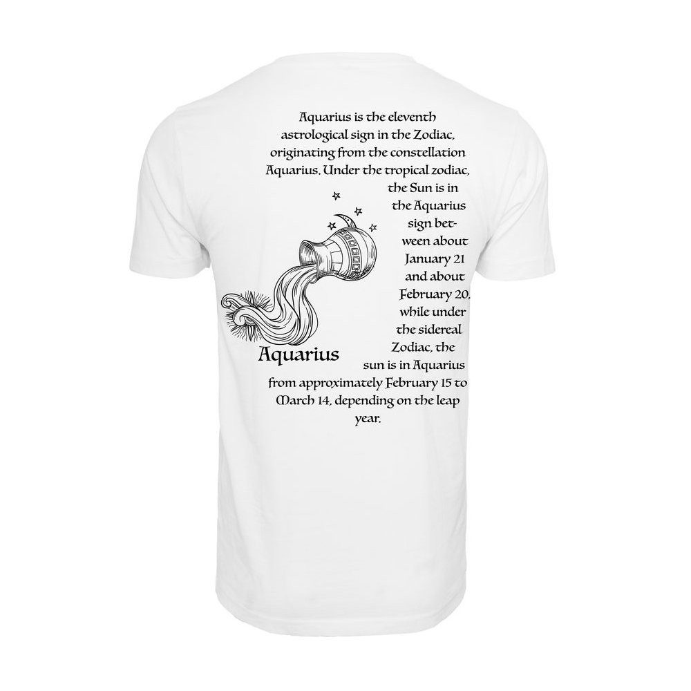 Mister Tee T-Shirt Astro Aquarius Tee