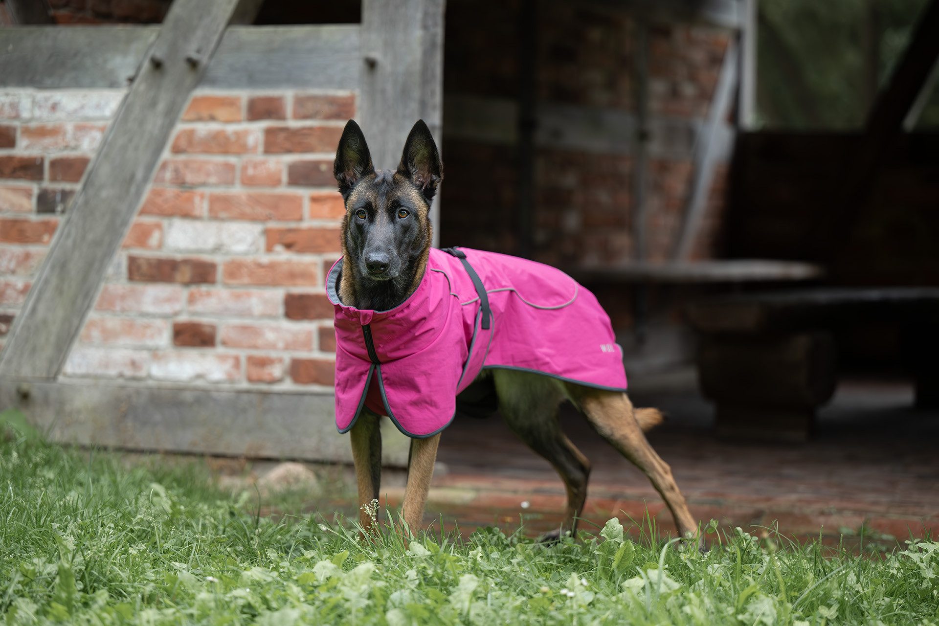 Wolters Hunderegenmantel Cape Drizzle