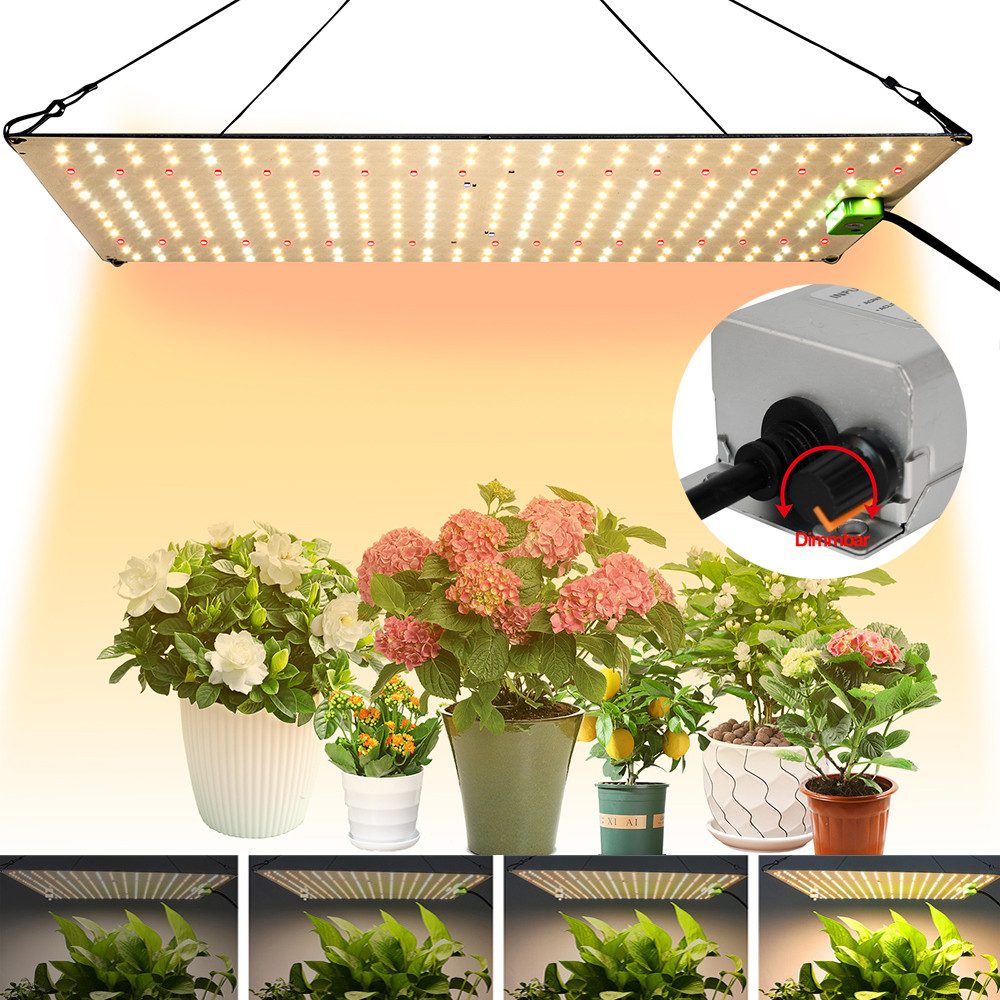 Jibenhome Pflanzenlampe Vollspektrum LED Grow Lampe günstig online kaufen