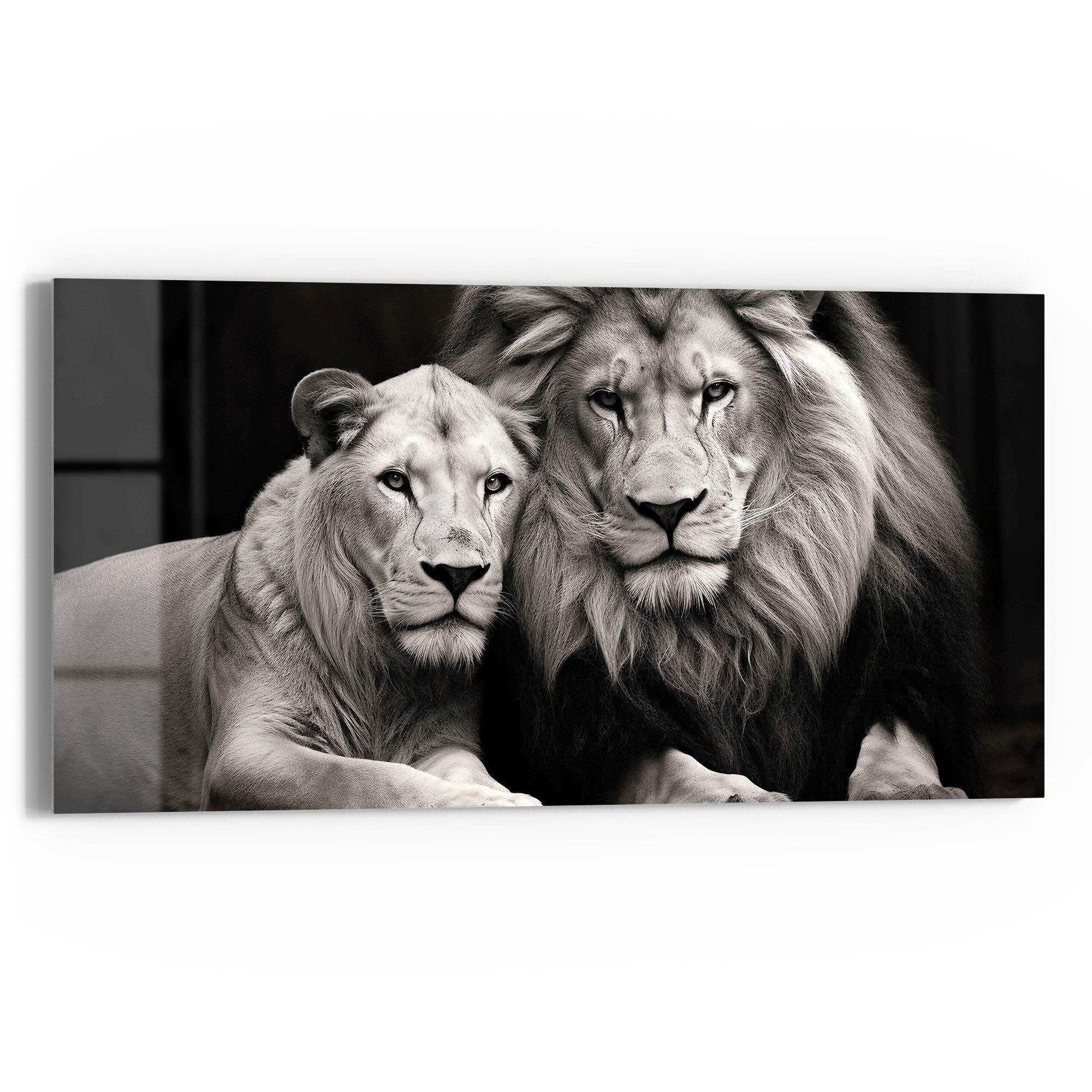 DEQORI Glasbild 'Stolzes Löwenpaar', 'Stolzes Löwenpaar', günstig online kaufen