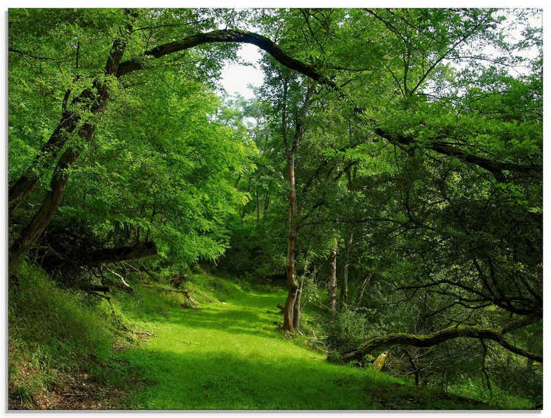 Artland Glasbild Grüner Weg durch den Wald, Wald (1 St), in verschiedenen Größen