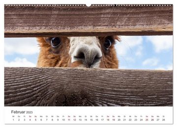 CALVENDO Wandkalender Lamas und Alpakas - Die weichen Neuweltkamele. (Premium, hochwertiger DIN A2 Wandkalender 2023, Kunstdruck in Hochglanz)