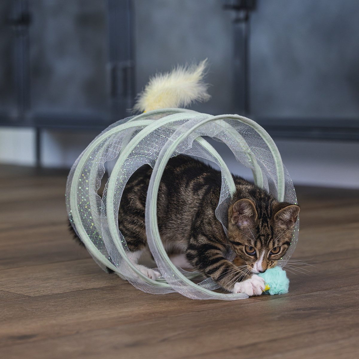 Beeztees Tier-Beschäftigungsspielzeug Kitten Katzenspielzeug Spielspirale Gabi