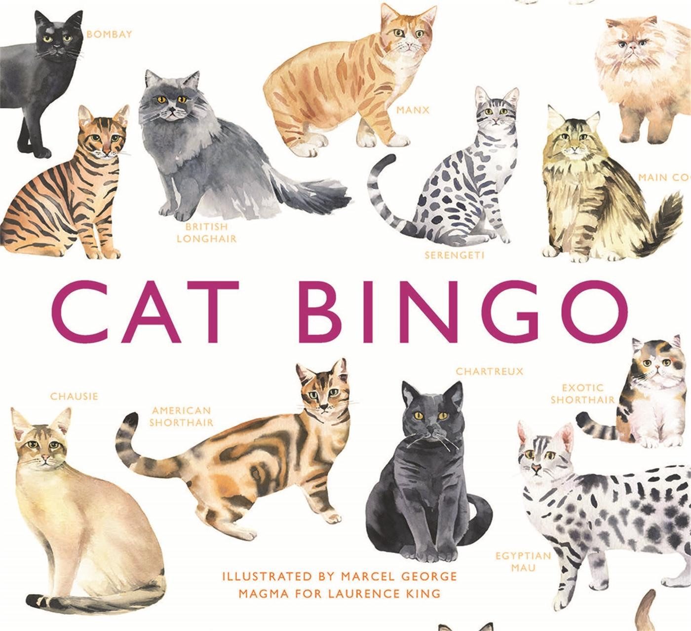 Spiel Cat Bingo