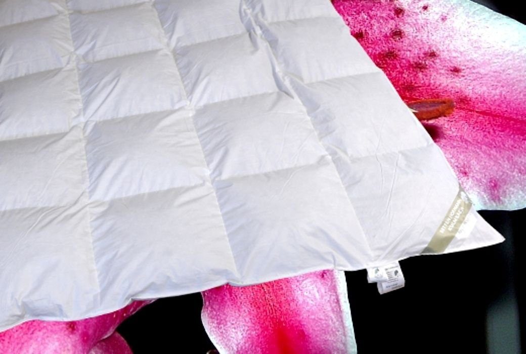 Betten Hofmann 4-Jahreszeitenbett Betten Hofmann Canada günstig online kaufen