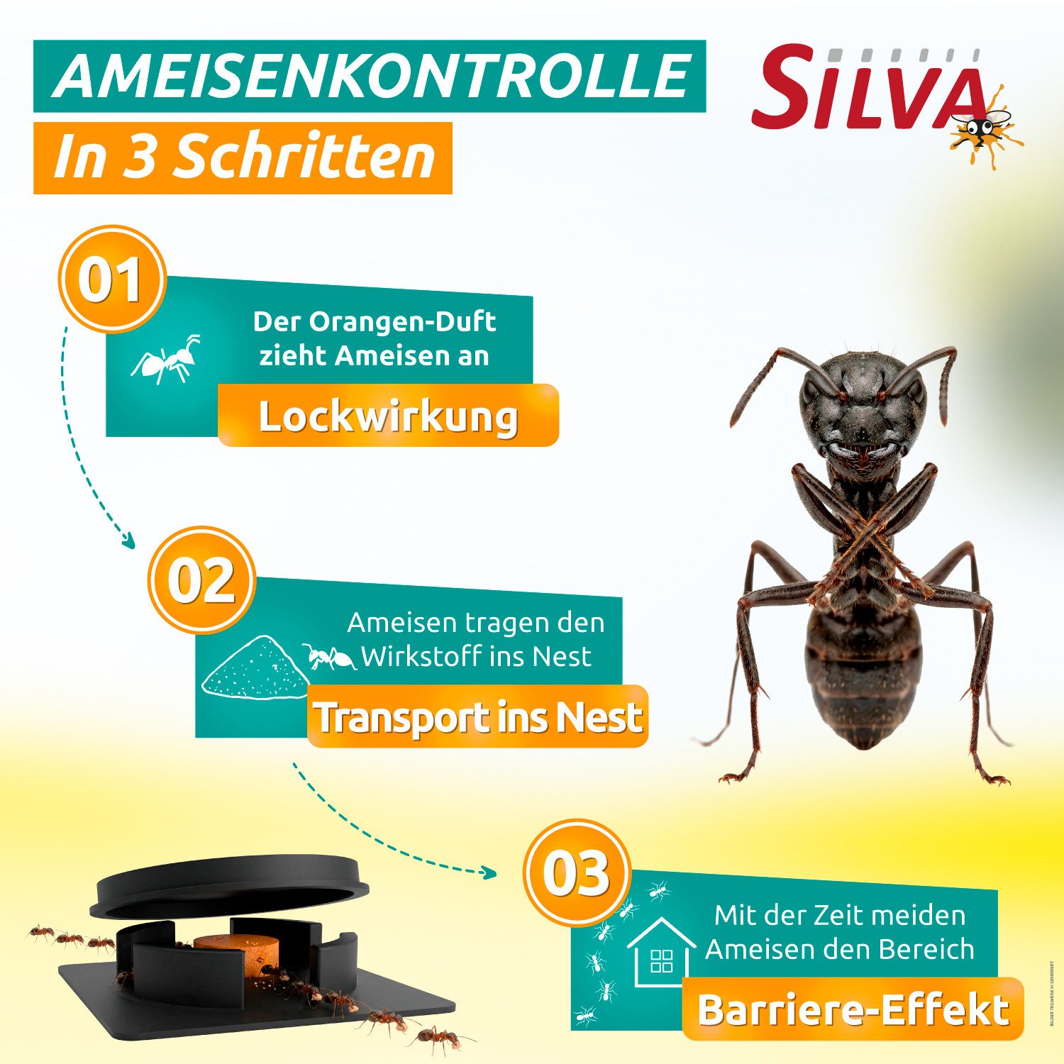 Silva Haus & Garten Vergrämungsmittel Silva® Ameisenköder 4er – gegen Ameisen im Haus & Garten – PT19 Biozid, 4-St., Set aus 4 Köderdosen, 4 Stück für drinnen & – Bild 4 von 5