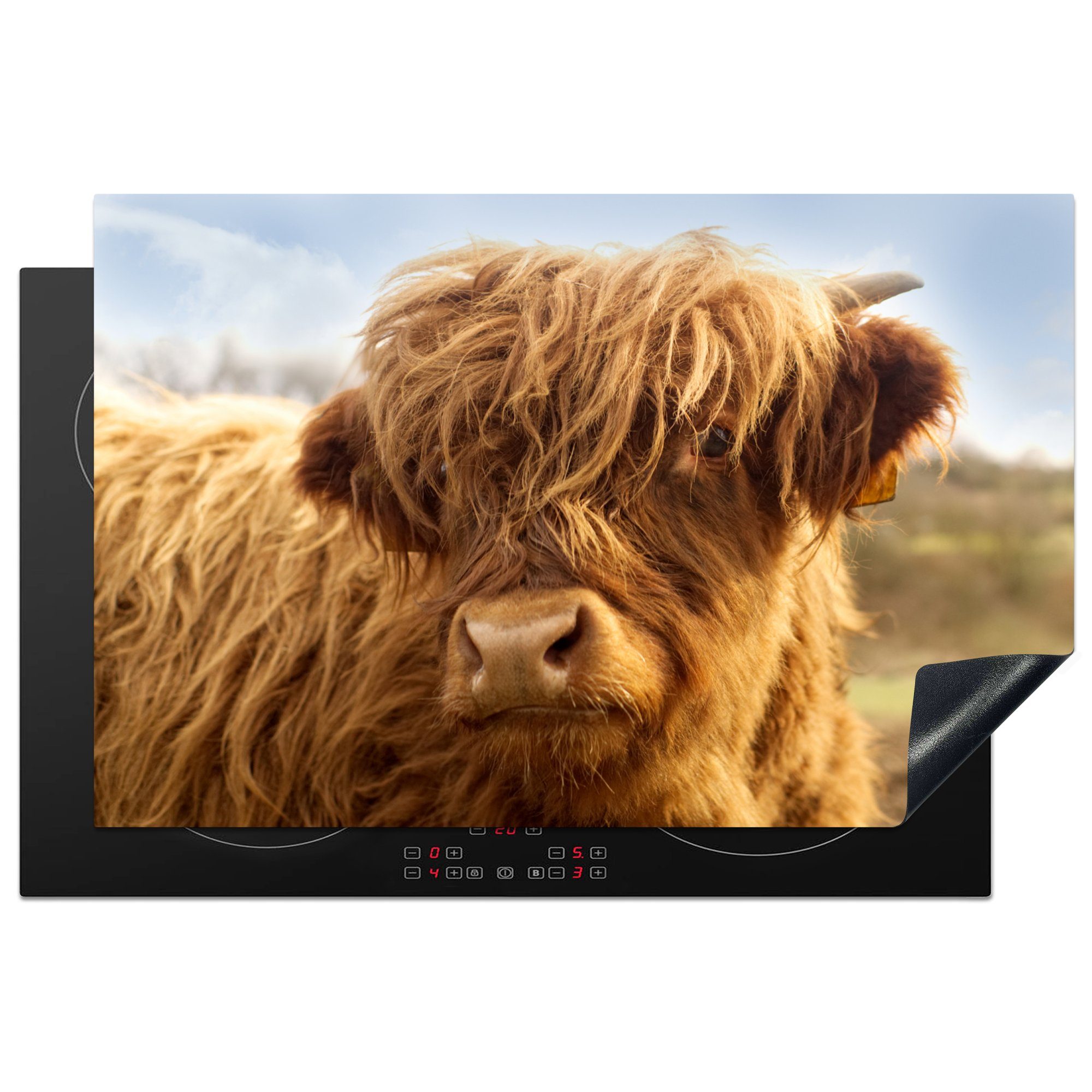 MuchoWow Herdblende-/Abdeckplatte Tiere - Schottischer Highlander - Braun, Vinyl, (1 tlg), 81x52 cm, Induktionskochfeld Schutz für die küche, Ceranfeldabdeckung