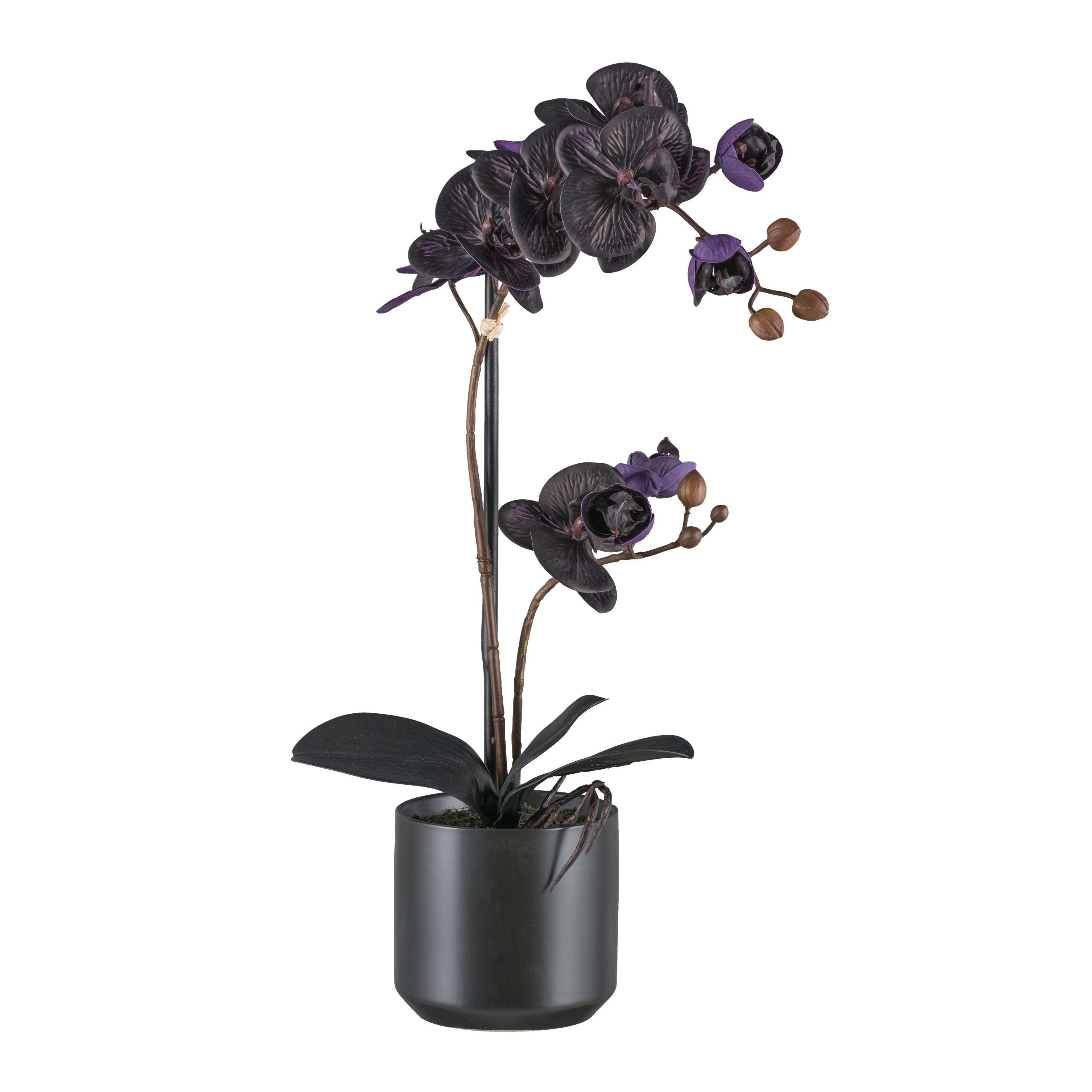 Kunstorchidee Orchidee Phalaenopsis