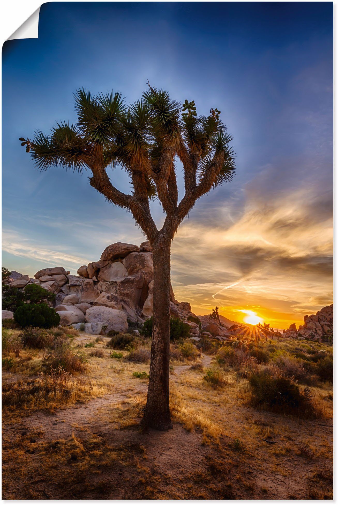 Artland Wandbild Sonnenuntergang Joshua Tree NationalPark, Bilder vom Sonnenuntergang & -aufgang (1 St), als Alubild, Leinwandbild, Wandaufkleber oder Poster in versch. Größen