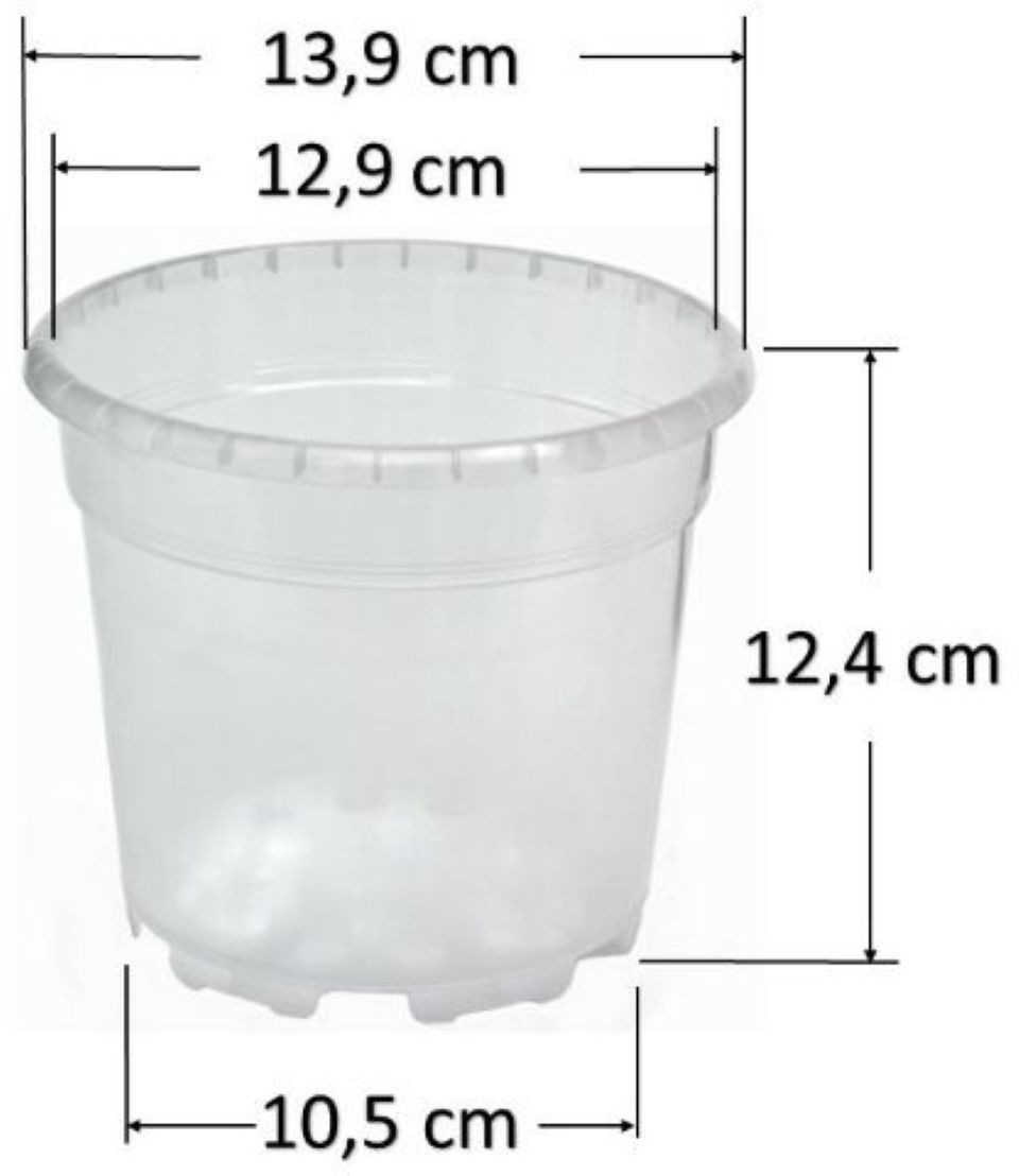 Floralo e. K. Blumentopf Kunststoff-Orchideentopf transparent günstig online kaufen