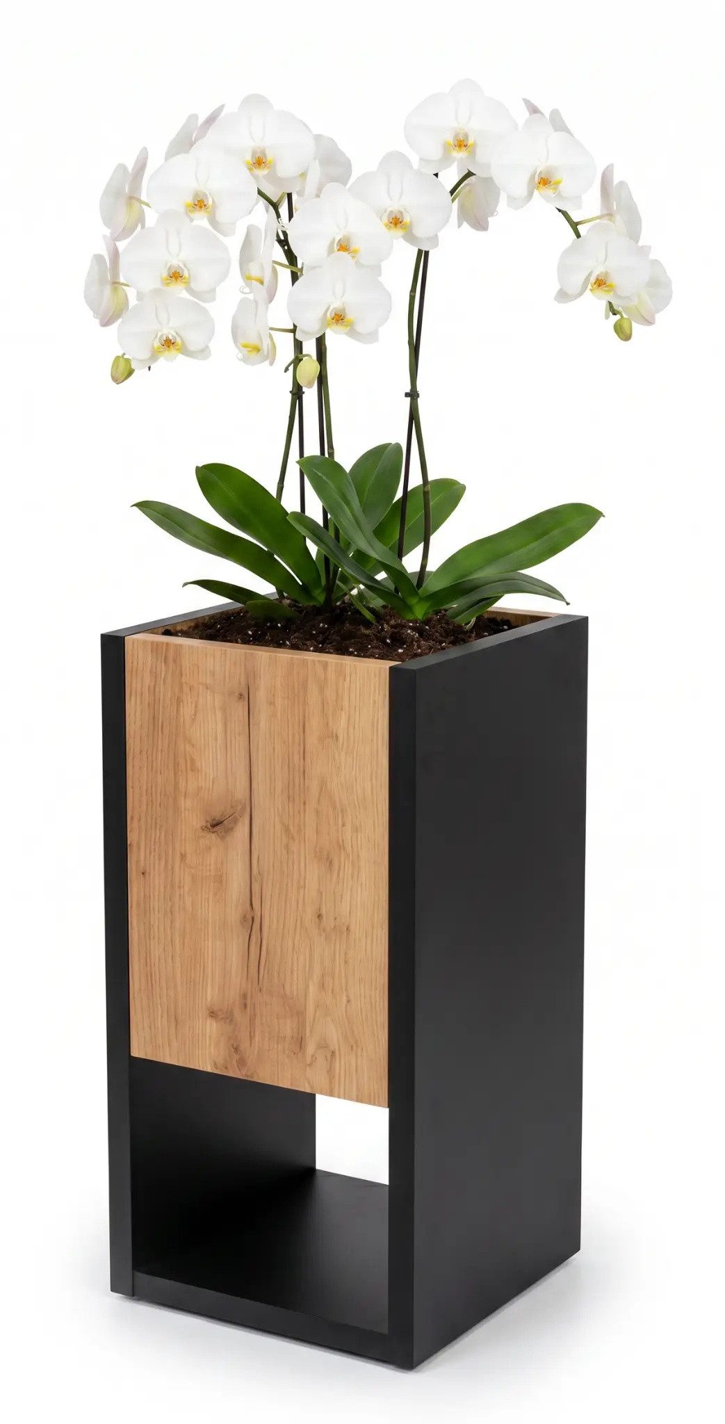TREND WERK Blumenständer Blumentopf Pflanzenregal Pflanzenständer Holzoptik Wohnzimmer (Einzelner Pflanzenständer Loft-Design 22,6x45x22,6 cm), 18mm Spanplatte kratzfest feuchtigkeitsresistent Laminat