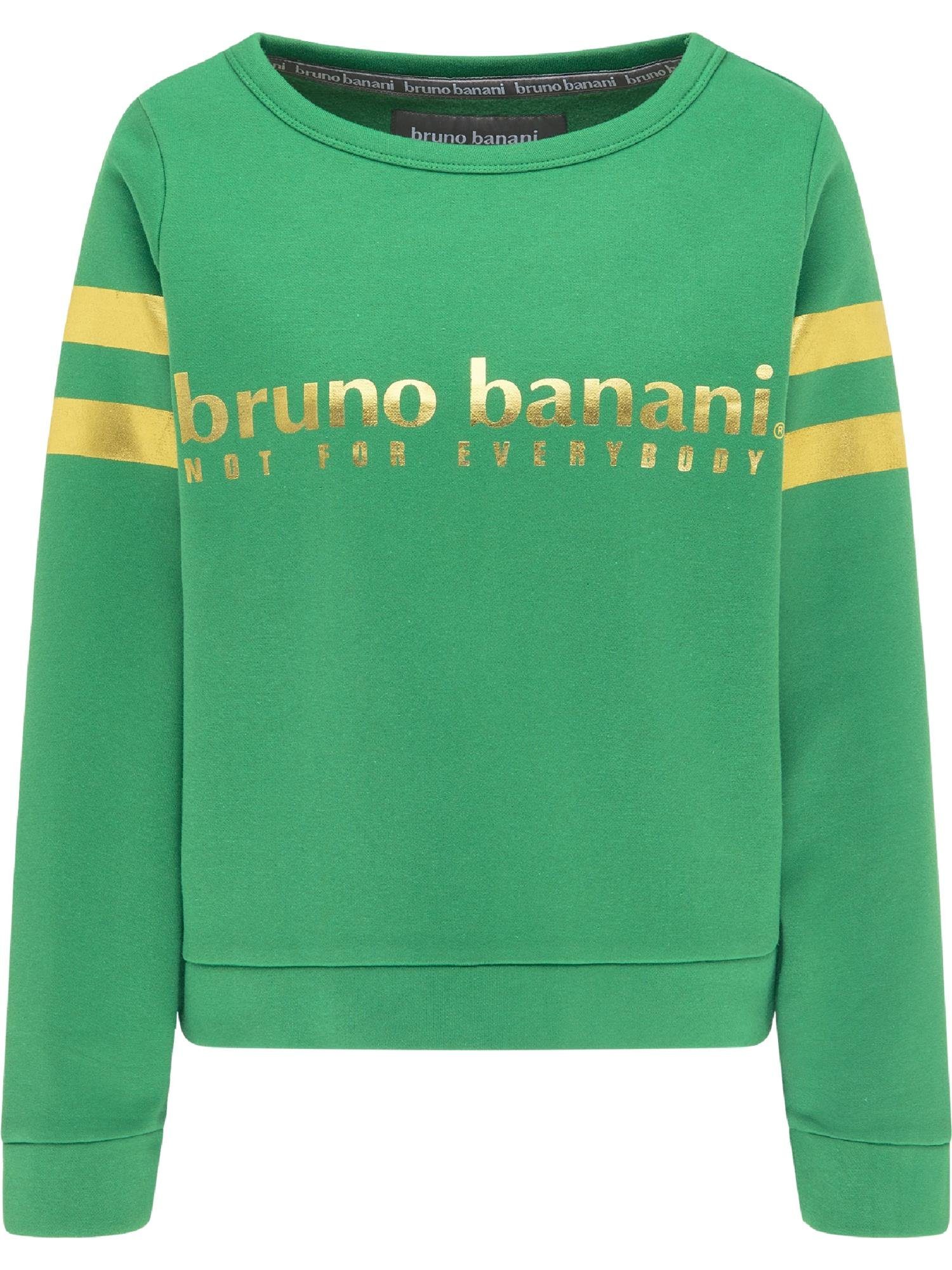 Bruno Banani T-Shirt GRIFFIN günstig online kaufen