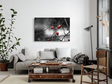 Sinus Art Leinwandbild 120x80cm Wandbild auf Leinwand Wildrosen Gebüsch Rot Schwarz Weiß Foto, (1 St)