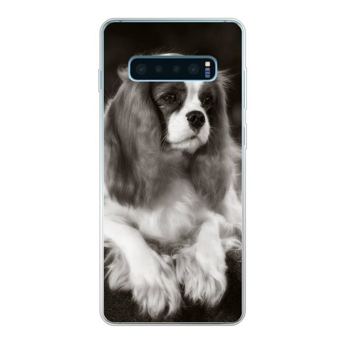 MuchoWow Handyhülle Schwarz-Weiß-Foto eines Cavalier King Charles Spaniels Phone Case Handyhülle Samsung Galaxy S10 Lite Silikon Schutzhülle