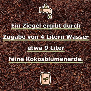 Humusziegel Blumenerde Anzuchterde - 18L Kokoserde - 2x650g - Kokosfaser Blumenerde torffrei