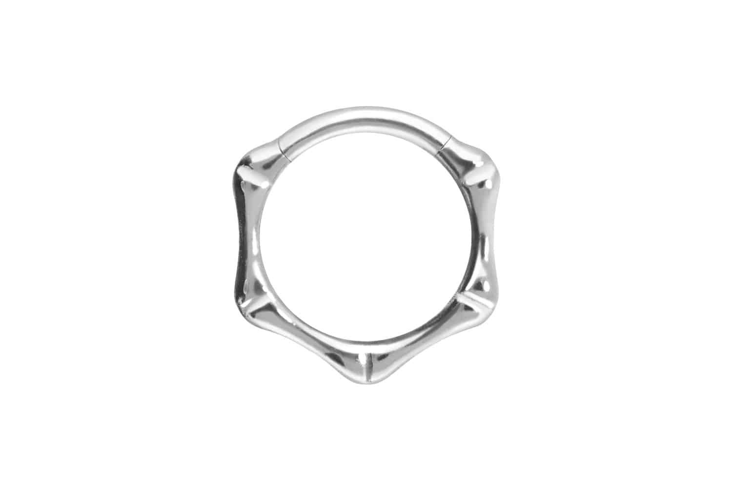Nasenpiercing Titan Segmentring Clicker KNOCHEN Ohrpiercing Septum Nase