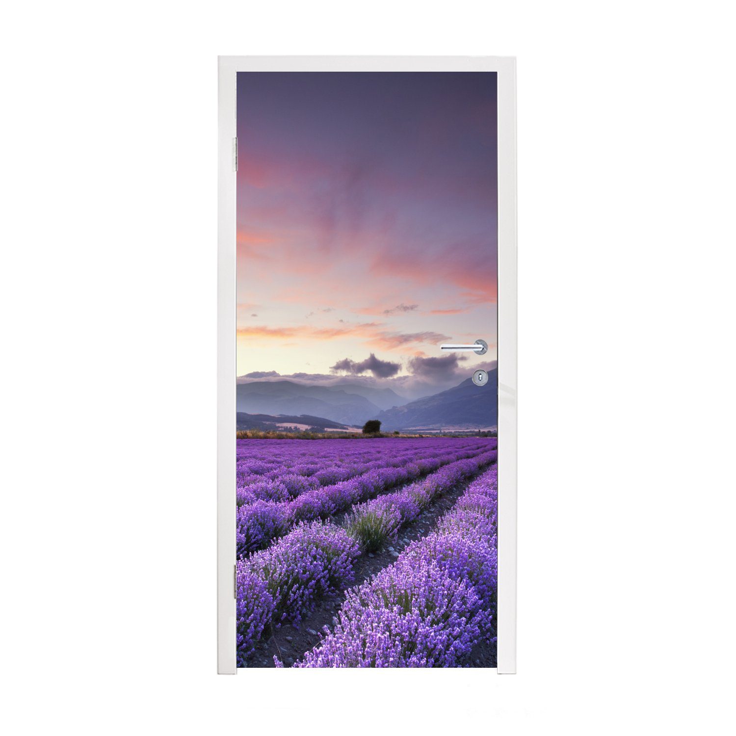 MuchoWow Türtapete Ein schönes Lavendelfeld bei Sonnenuntergang, Matt, bedruckt, (1 St), Fototapete für Tür, Türaufkleber, 75x205 cm