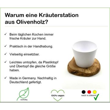 Olivenholz-erleben Kräuterbeet 1er Kräuterstation auf Olivenholz-Sockel (1 St), antibakterielle Wirkung, hygienischer als Kunststoff
