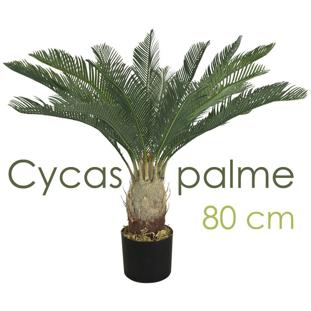 Kunstpalme Künstliche Pflanze Cycas Palme Kunstpflanze Plastikpflanze 80 cm, Decovego, Höhe 80 cm