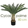 Modell 9 (Cycaspalme) / Höhe: ca. 80 cm