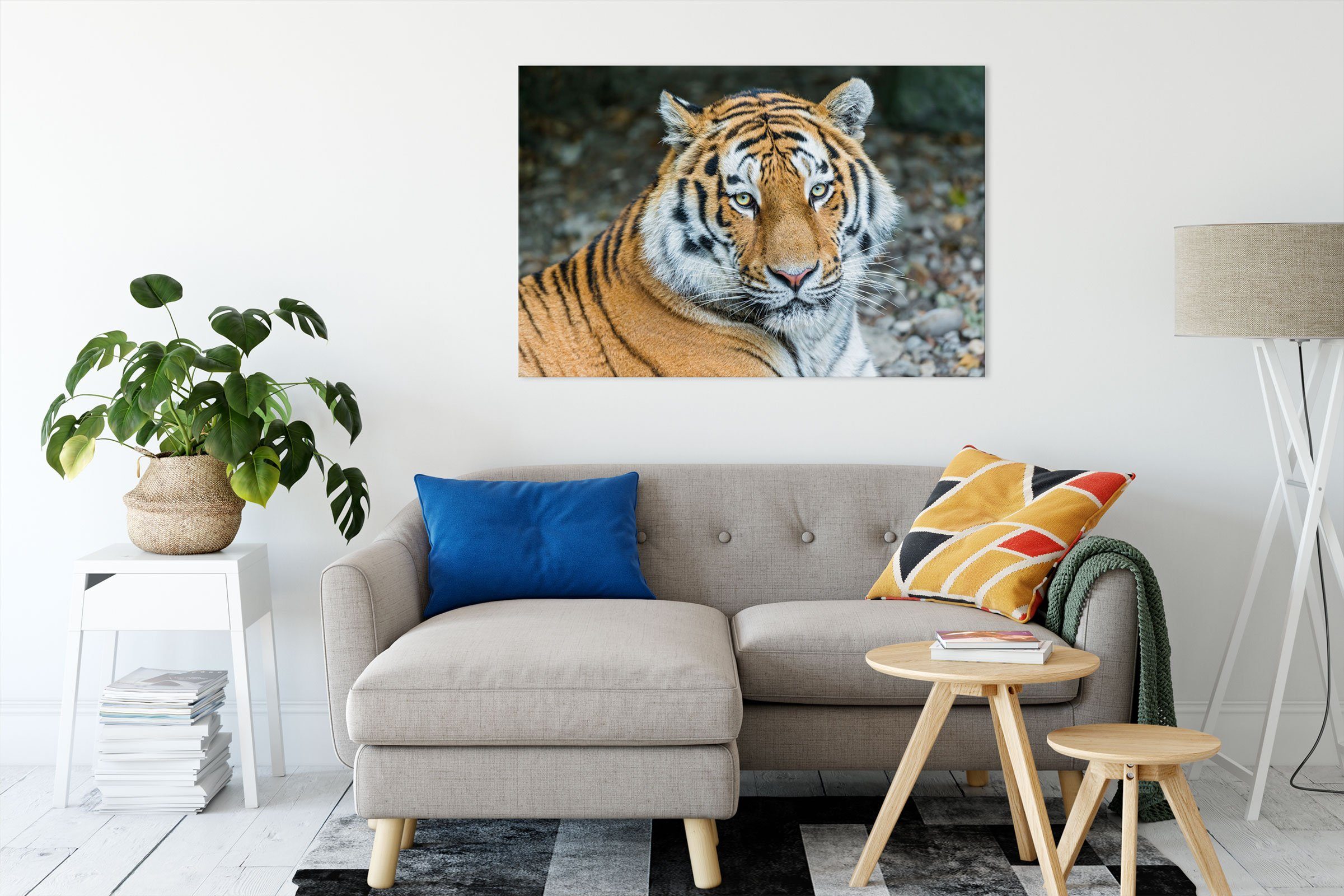 Pixxprint Leinwandbild prächtiger Tiger, prächtiger Leinwandbild (1 fertig Tiger St), bespannt, Zackenaufhänger inkl