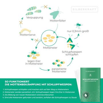 Silberkraft Insektenvernichtungsmittel Schlupfwespen gegen Kleidermotten - Chemiefreie Bekämpfung, 12-St., Die natürlichste Methode Motten zu bekämpfen - Langzeitwirkung