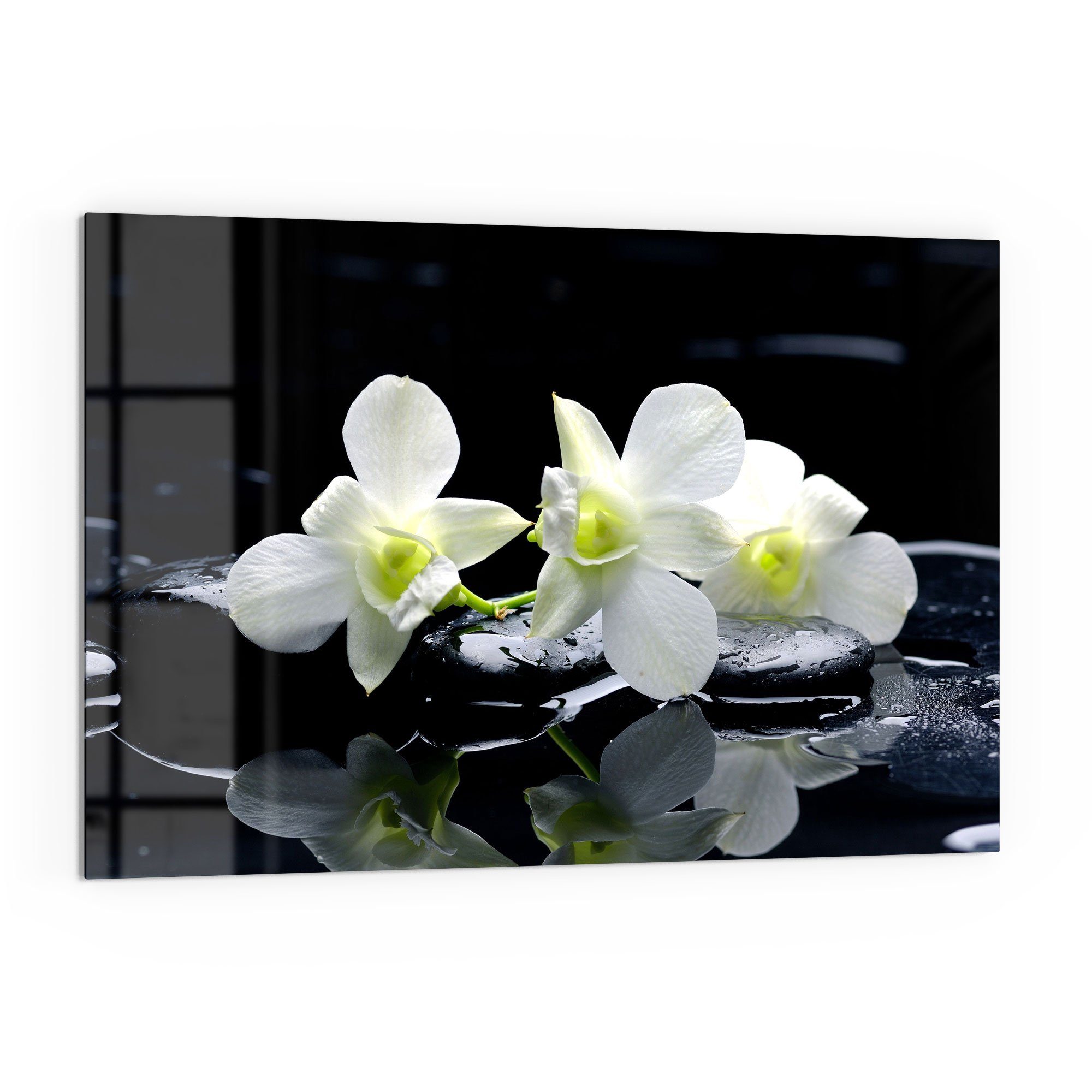 DEQORI Küchenrückwand Spritzschutz Badrückwand Zen-Steinen', mit Glas 'Orchidee Herdblende