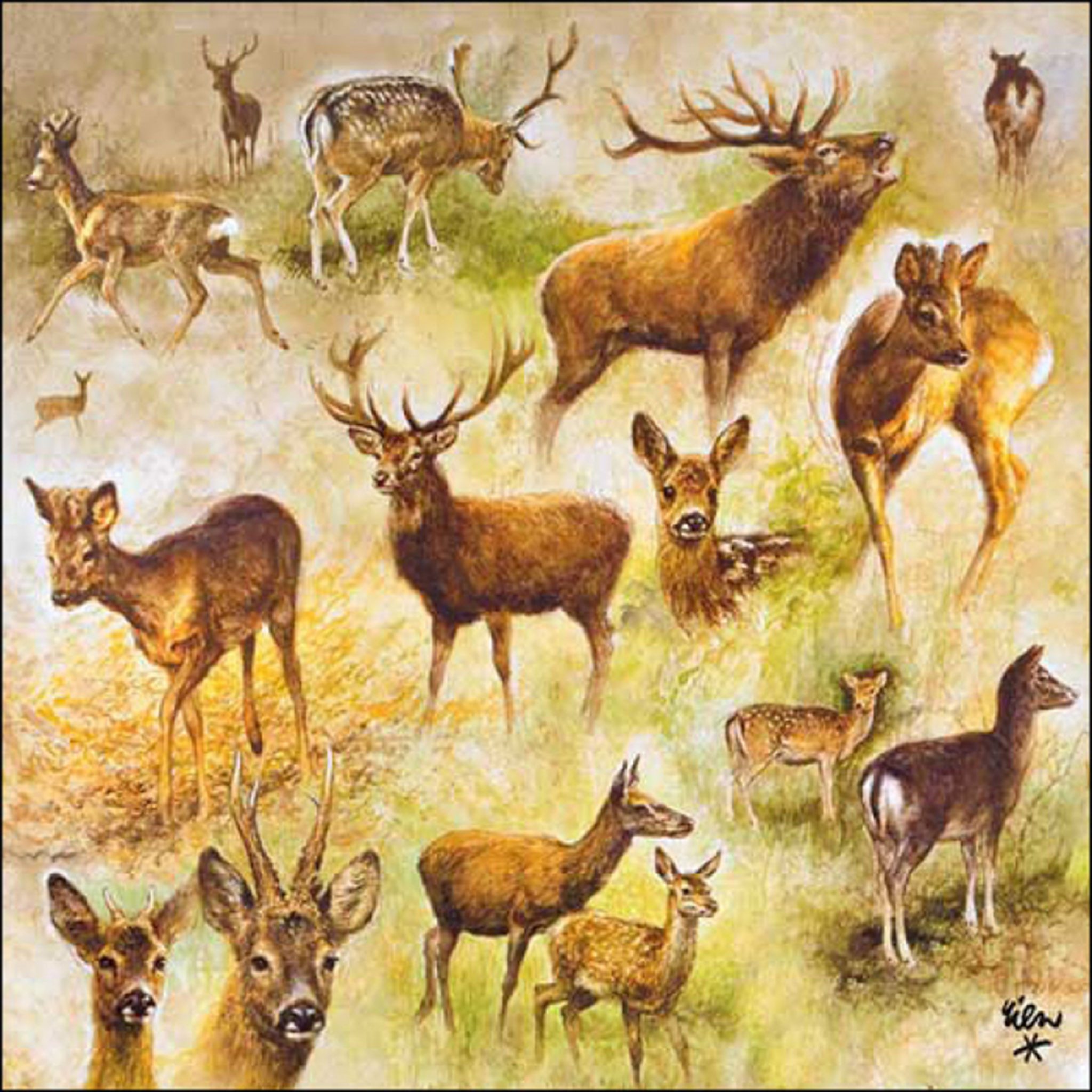 Ambiente Luxury Paper Products Papierserviette, Servietten Papier 33x33cm 3-lag. mit Waldtiere Motiv 20 Stück