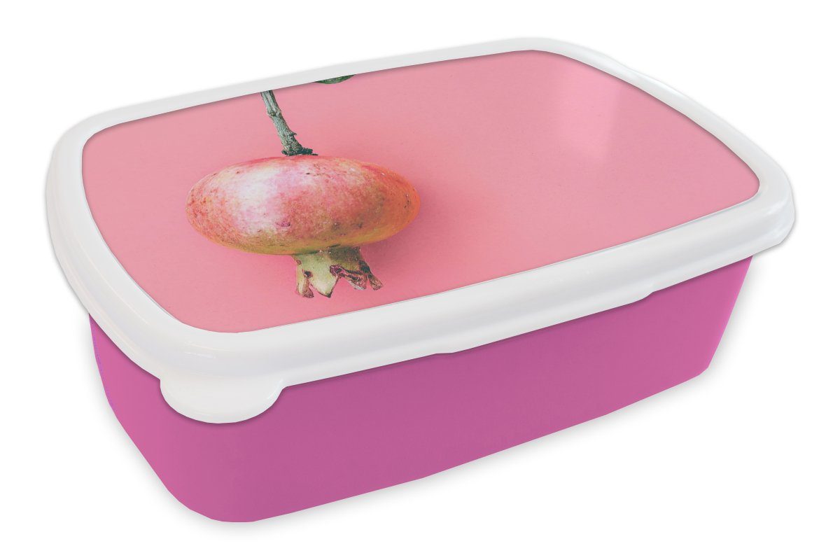 MuchoWow Lunchbox Pflanzen - Sommer - Rosa, Kunststoff, (2-tlg), Brotbox für Erwachsene, Brotdose Kinder, Snackbox, Mädchen, Kunststoff