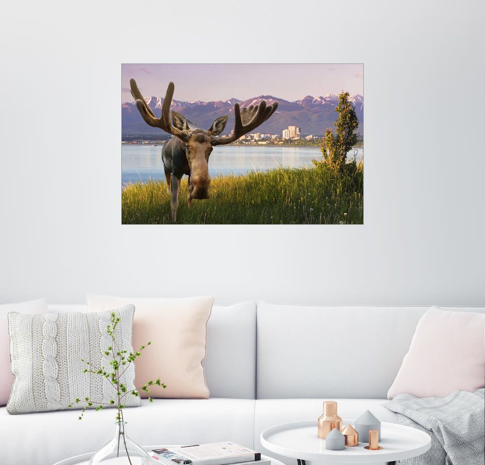 Posterlounge Wandbild Composite Image »Elch vor