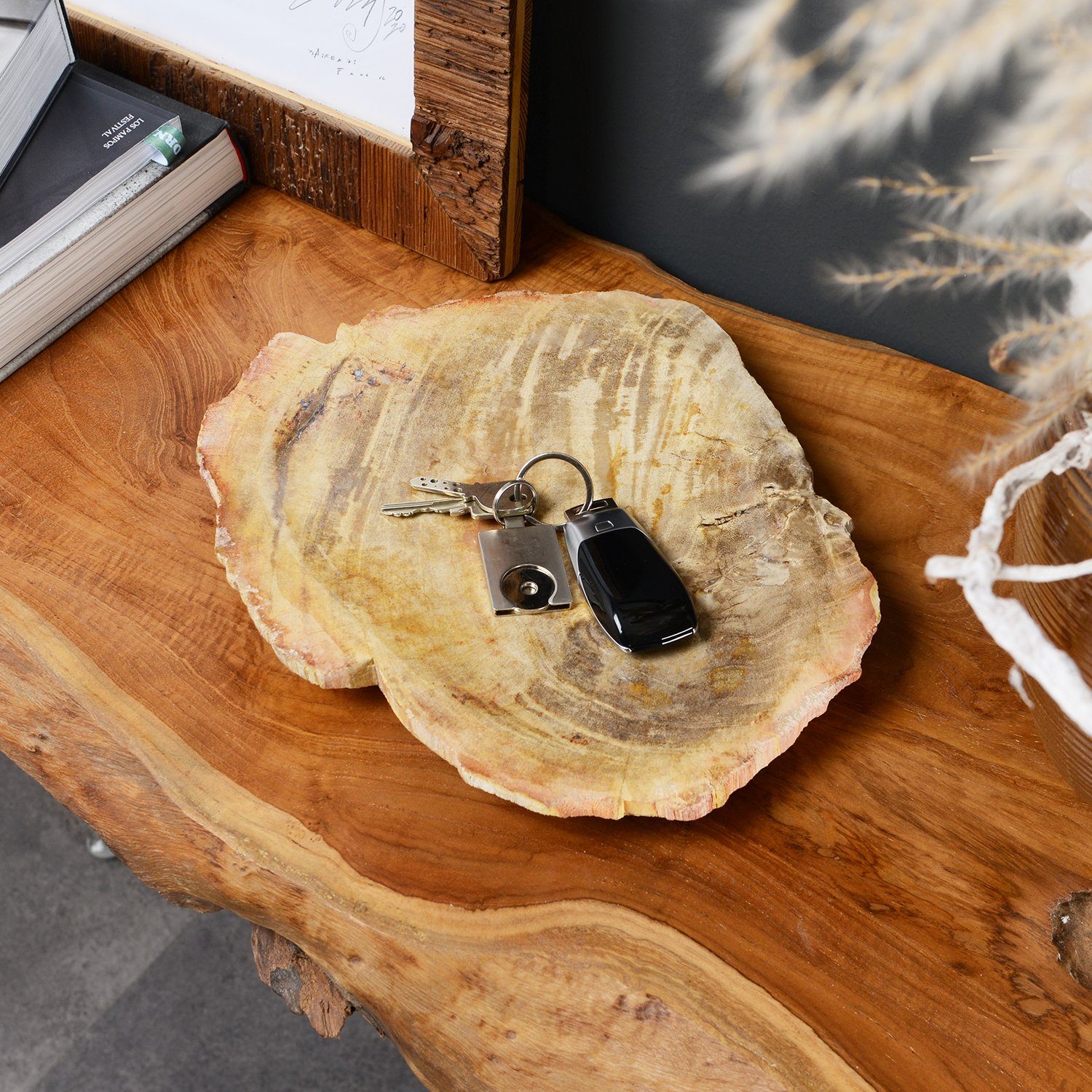 wohnfreuden Dekoschale Schale aus fossilem Holz creme ca. 30 cm, 30811
