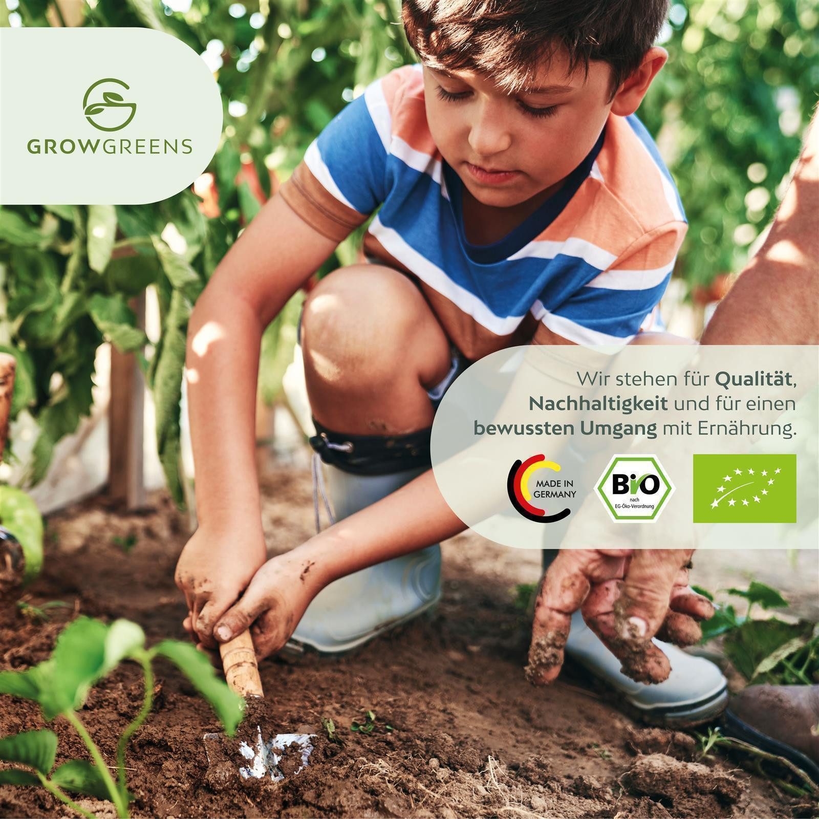 Growgreens Kräutersamen BIO Liebstöckel Samen - Küchenkräuter Saatgut aus b günstig online kaufen