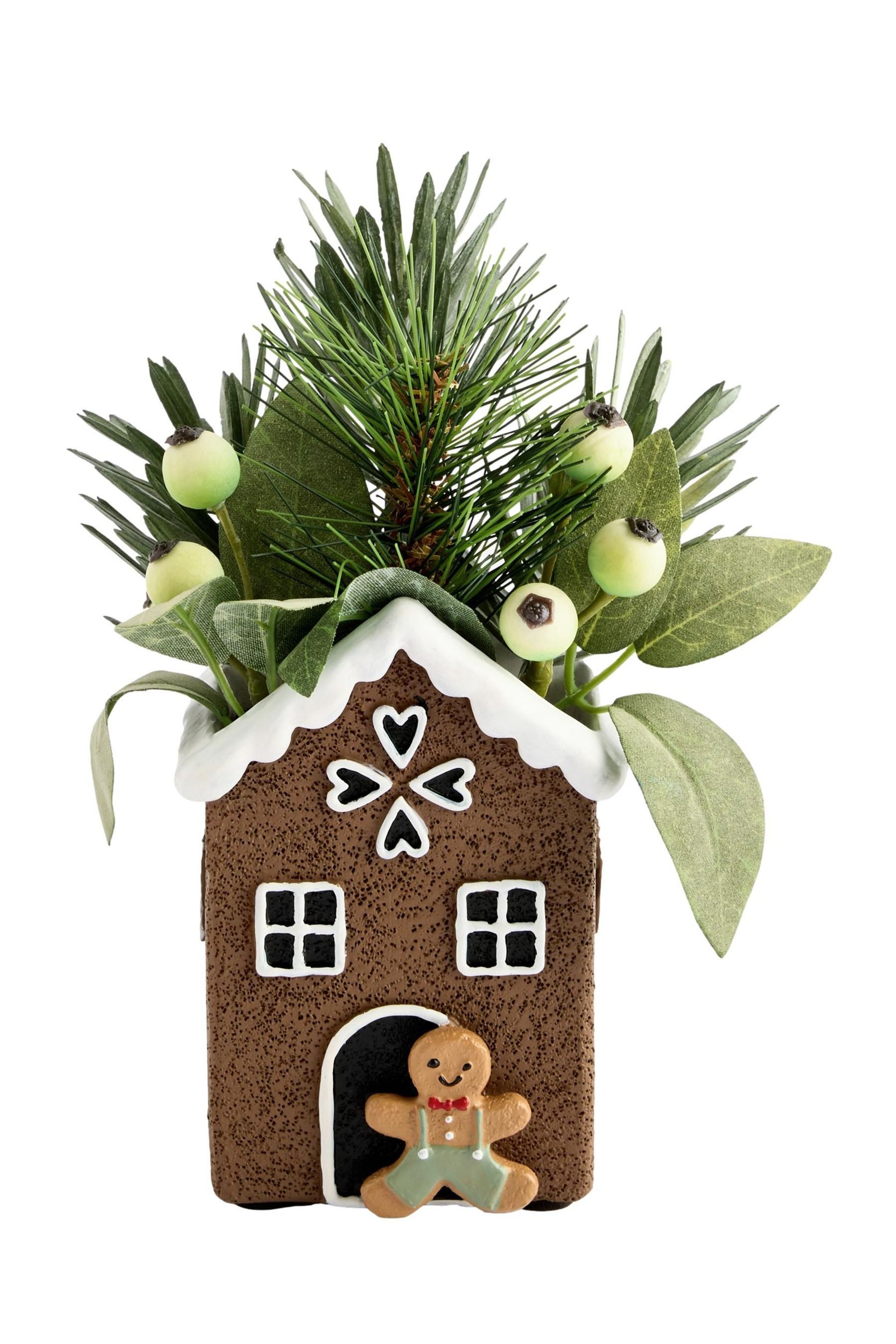 Kunstblume Winterliche Kunstpflanzen im Lebkuchenhaus, Next günstig online kaufen