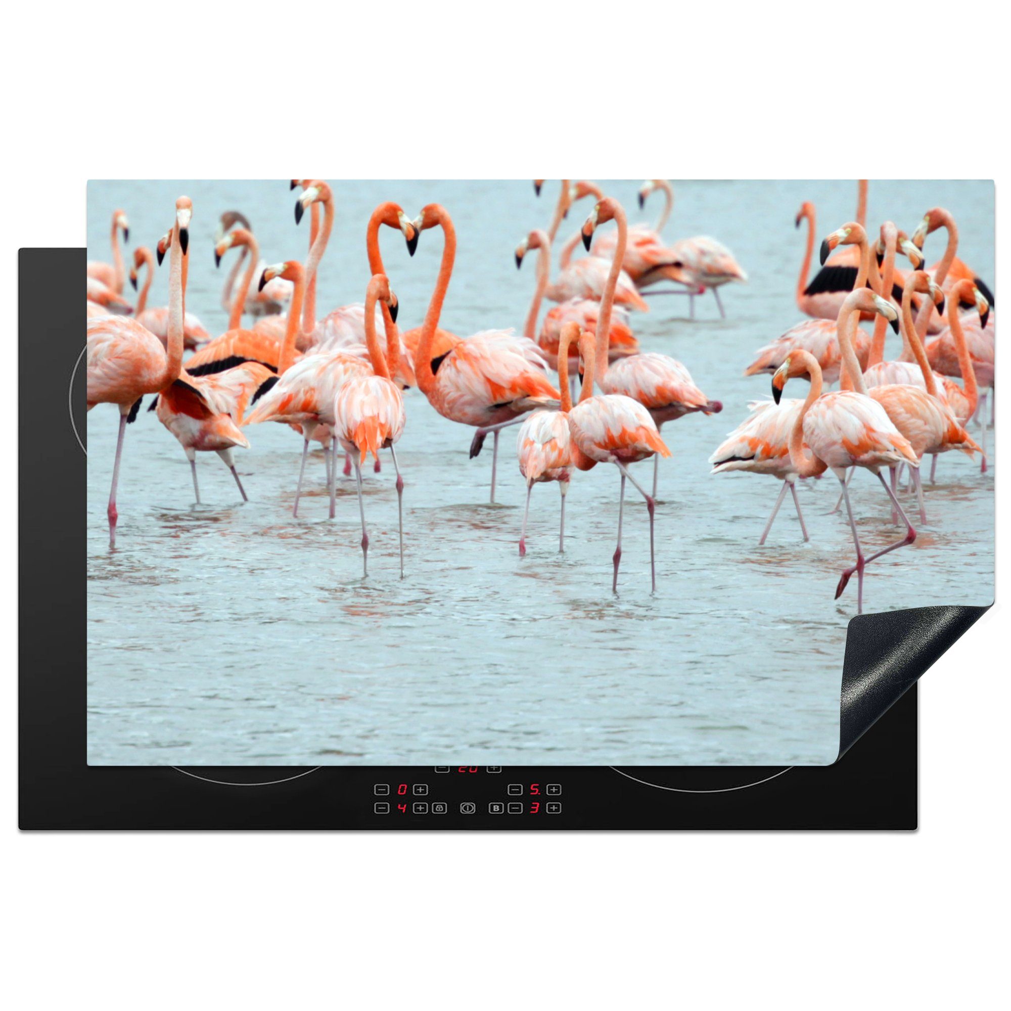 MuchoWow Herdblende-/Abdeckplatte Eine Gruppe von Flamingos im Wasser, Vinyl, (1 tlg), 81x52 cm, Induktionskochfeld Schutz für die küche, Ceranfeldabdeckung