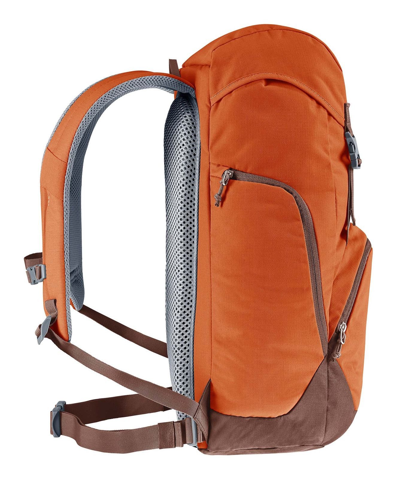 deuter Rucksack Walker 24 günstig online kaufen