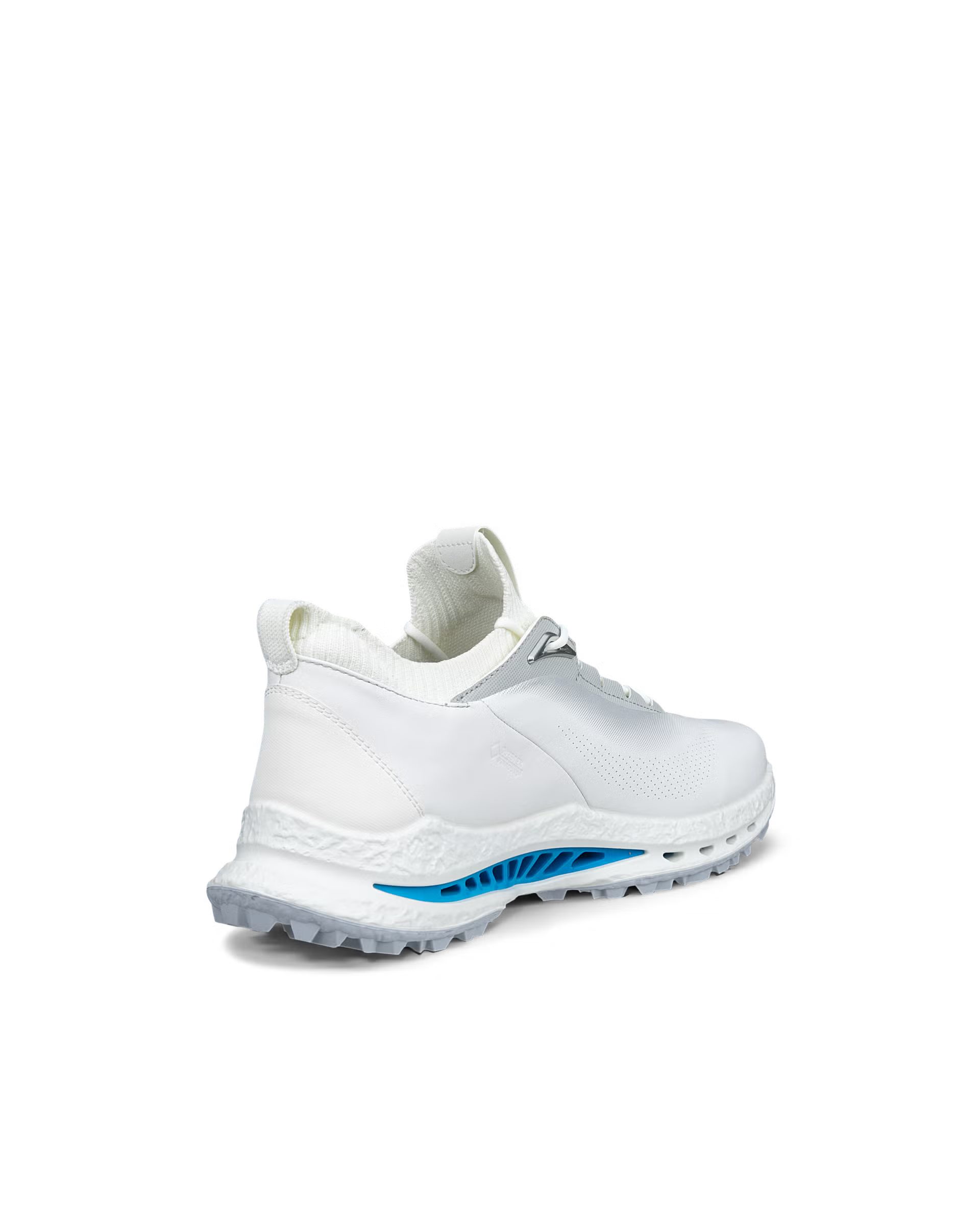 Ecco ECCO M Golf BIOM C5 Lace GTX Golfschuh