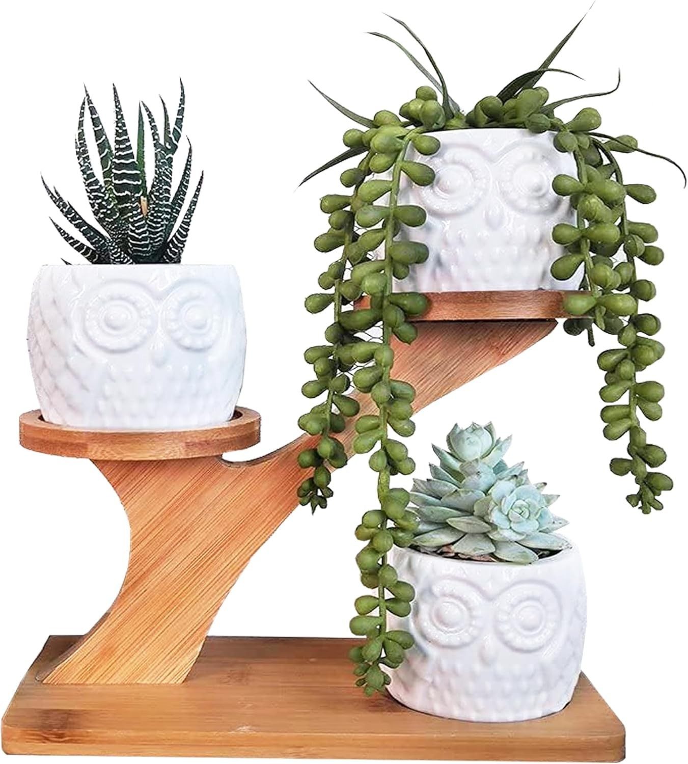 Refined Living Übertopf Sukkulenten Töpfe Keramik mit Bambus-Ständer,3er Set Eulen-Blumentöpfe (Mini Pflanztöpfe, Blumentopf Set, Sukkulenten-Übertopf, Übertopf Eule, Bambus Pflanzständer, mit Abflussloch & Tablett, Schreibtisch Deko Pflanzen, kleine Kaktus Pflanzer Töpfe, saftige Kombination Topfblumentopf, saftiger Keramiktopf,Hochwertige Keramik, Bambus-Ständer – Keramik-Deko für Pflanzen, 3 St., für Fensterbank,Schreibtisch,Wohnzimmer Balkon,Garten,Zuhause & Büro), für kleine Pflanzen wie Sukkulenten, Kakteen, Mini-Blumen oder Kräuter