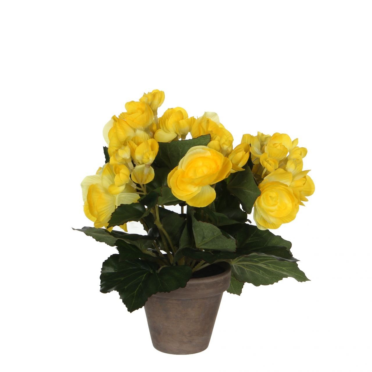 25 Decorations Kunstpflanze Mica x im Topf cm, 20 Mica gelb, Begonia