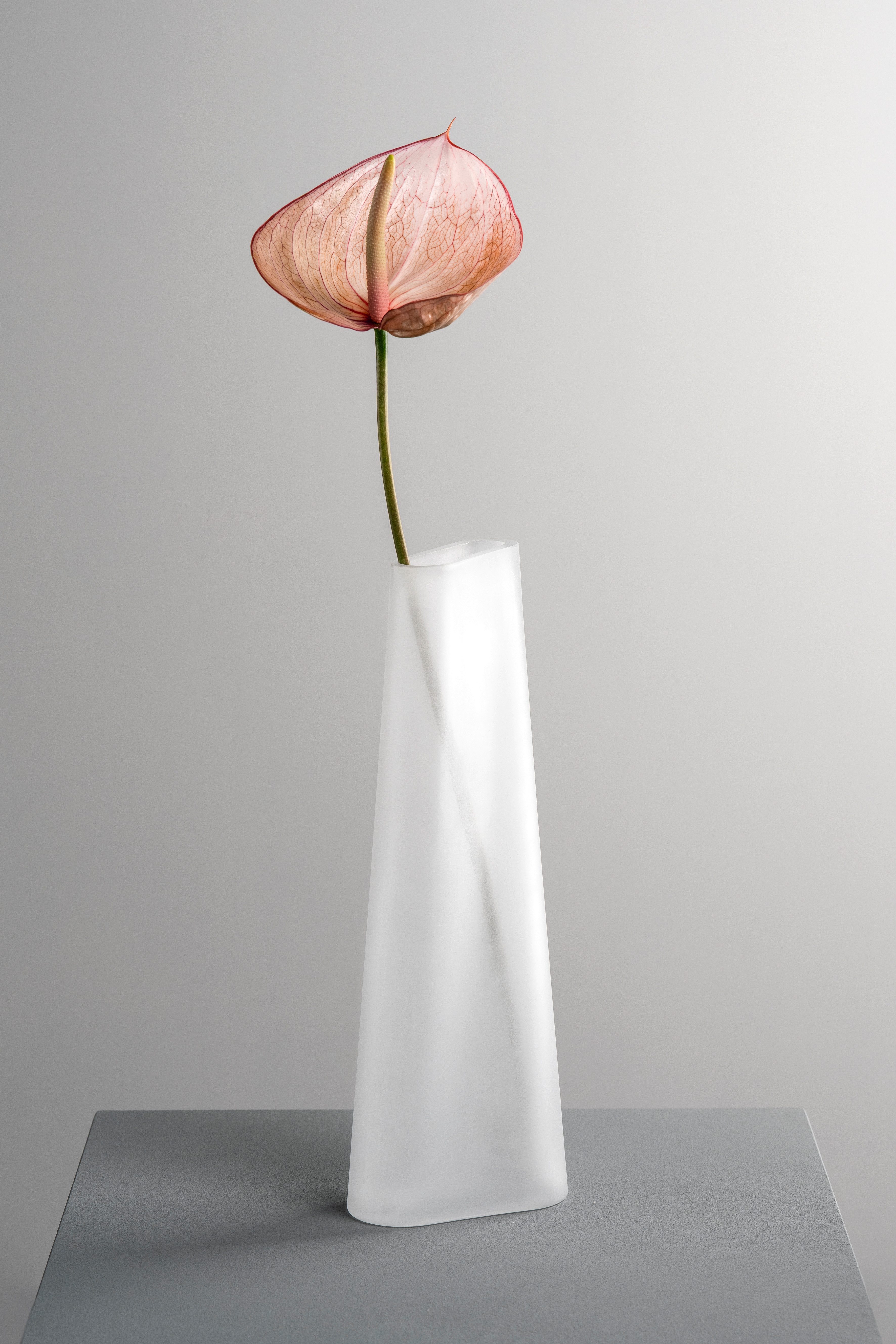 LEONARDO Dekovase GK/Vase TURNO (1 St) günstig online kaufen