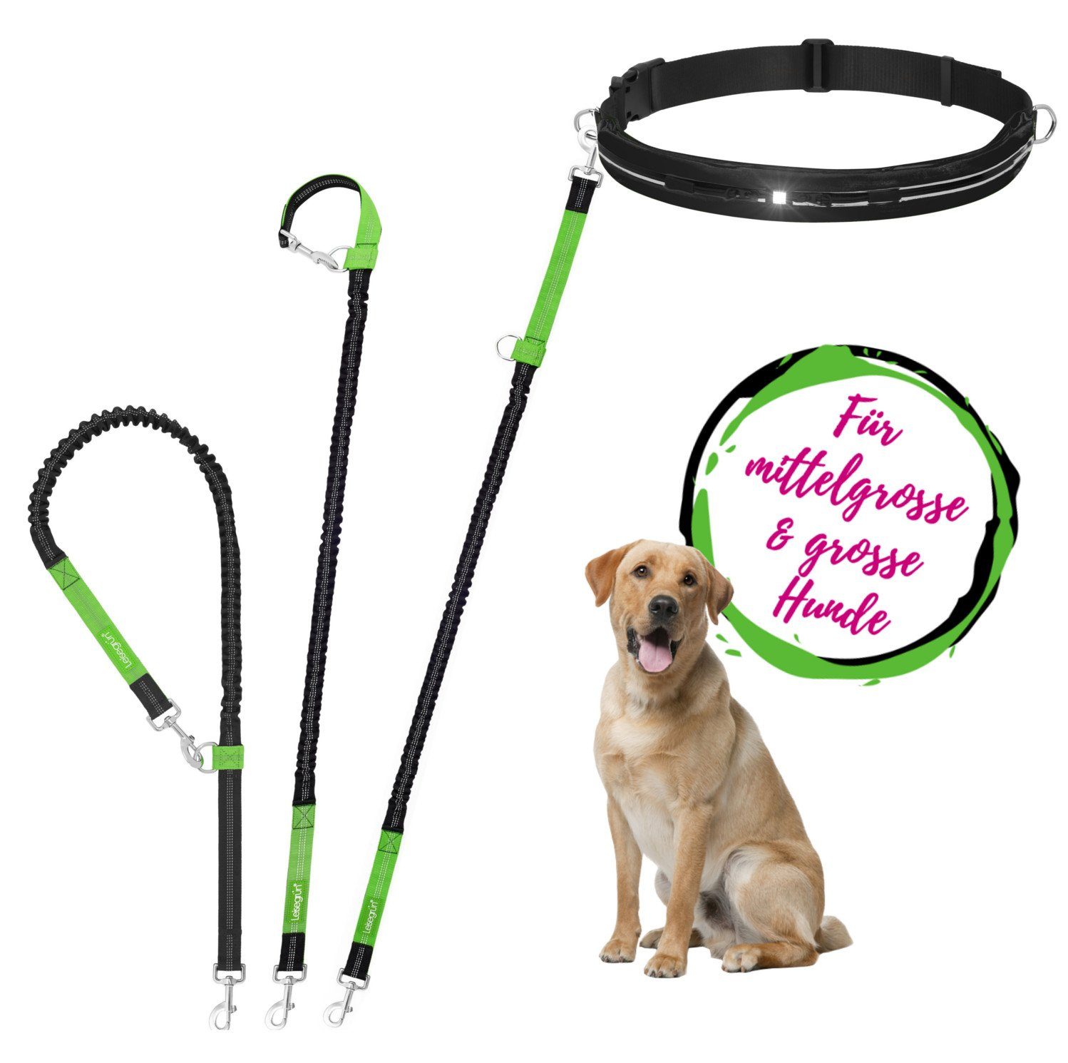 Leisegrün Joggingleine Joggingleine für große und mittelgroße Hunde bis 60 kg, Farbe: Grün, Nylon