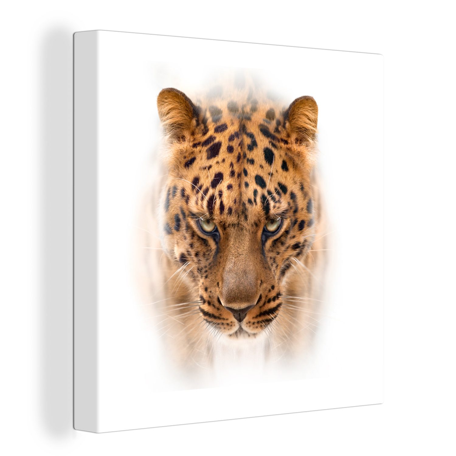 OneMillionCanvasses® Leinwandbild Panther - Porträt - Weiß, (1 St), Leinwand Bilder für Wohnzimmer Schlafzimmer