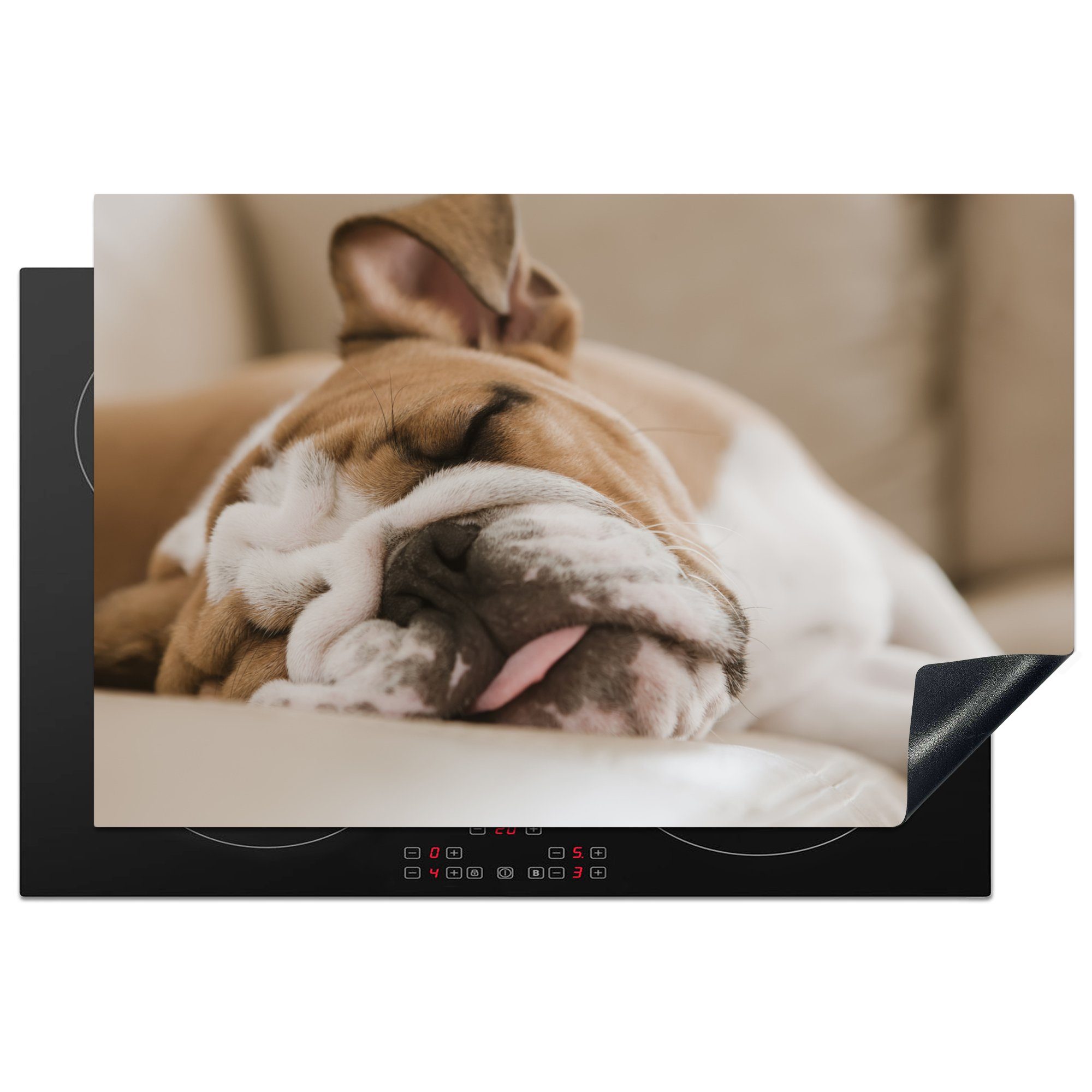 MuchoWow Herdblende-/Abdeckplatte Englische Bulldogge schläft auf dem Sofa, Vinyl, (1 tlg), 81x52 cm, Induktionskochfeld Schutz für die küche, Ceranfeldabdeckung