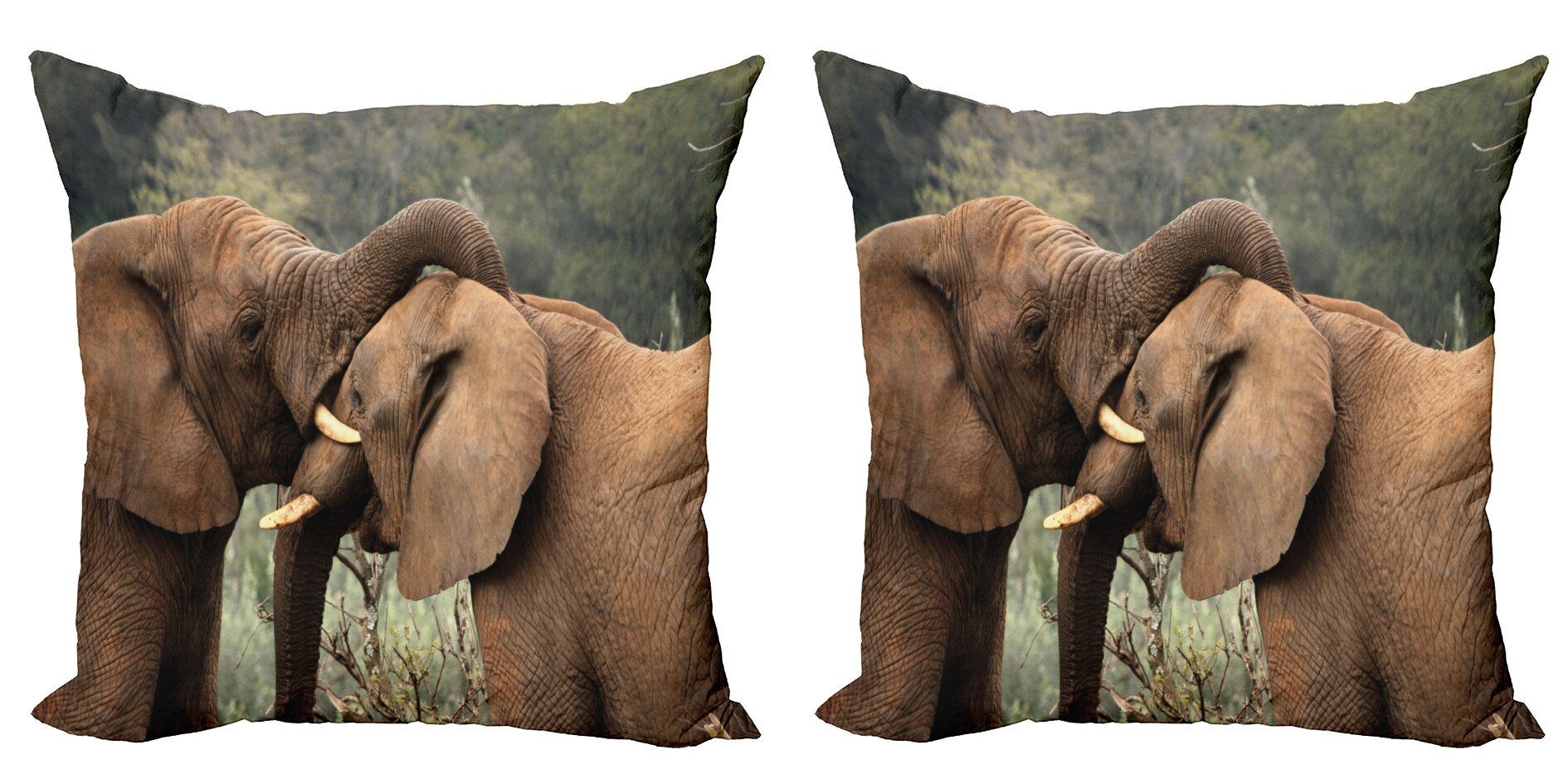 Kissenbezüge Modern Accent Doppelseitiger Digitaldruck, Abakuhaus (2 Stück), Elefant Großwild Savanna